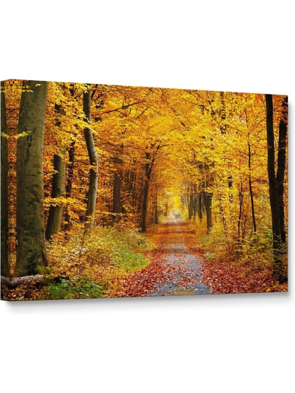 Fall Foliage Canvas Wall Art - Trees & Forest Photography, Framed Home Decor